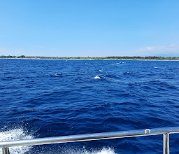 BlueWater Express | Serangan (Bali) Boat to Gili Islands photo