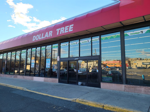 Dollar Store «Dollar Tree», reviews and photos, 24 Portland Ave, Bergenfield, NJ 07621, USA