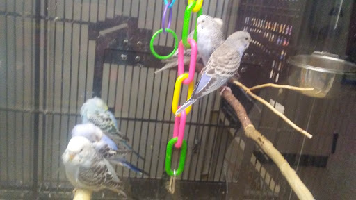 Pet Supply Store «PetSmart», reviews and photos, 7177 SE 29th St, Midwest City, OK 73110, USA