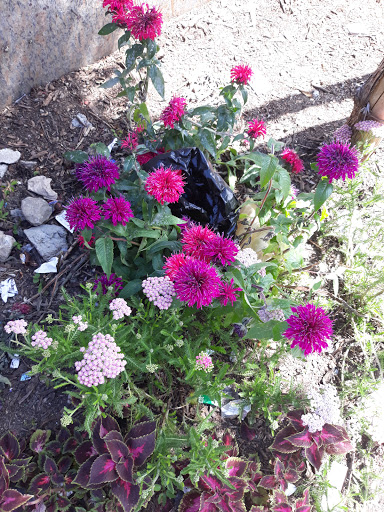 Park «Park Of The Americas», reviews and photos, 42nd Ave & 104th Street, Corona, NY 11368, USA