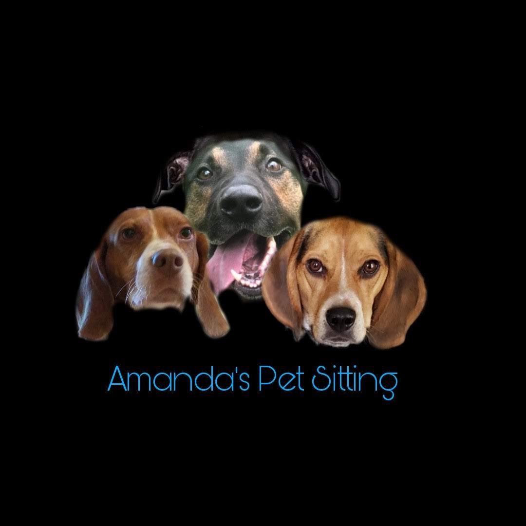 Amanda H. Pet Sitting