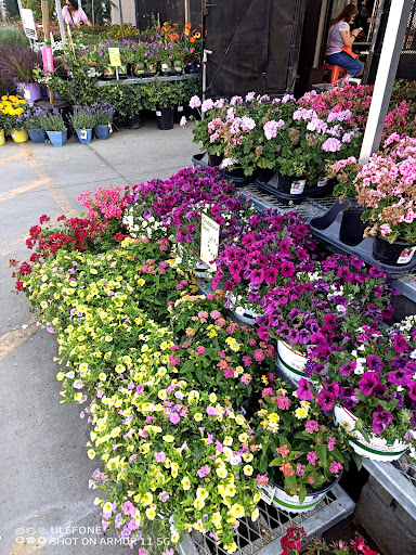 Home Improvement Store «The Home Depot», reviews and photos, 8850 San Ysidro Ave, Gilroy, CA 95020, USA