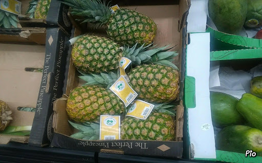 Supermarket «ALDI», reviews and photos, 3705 Tampa Rd #13, Oldsmar, FL 34677, USA