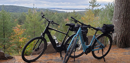 Bicycle Store «THE BICYCLE CONNECTION», reviews and photos, 10435 York Rd, Cockeysville, MD 21030, USA