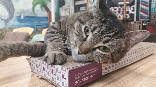 2456 US-17 BUS, Murrells Inlet, SC 29576, USA