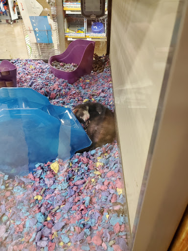 Pet Supply Store «Petco Animal Supplies», reviews and photos, 4698 S Whitnall Ave, St Francis, WI 53235, USA