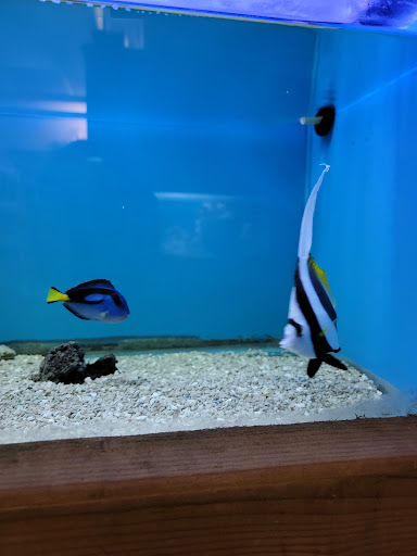 Tropical Fish Store «Ocean Aquarium», reviews and photos, 6820 E Black Horse Pike, Egg Harbor Township, NJ 08234, USA