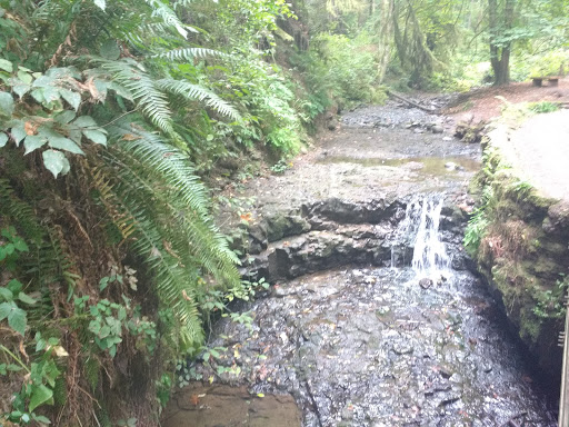 Park «MacLeay Park Entrance», reviews and photos, 2960 NW Upshur St, Portland, OR 97210, USA