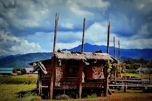 Doi Phu Kha National Park Campground image