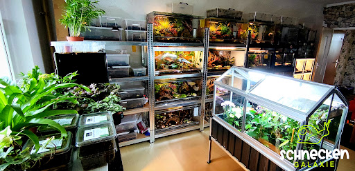 Schnecken Galaxie Bautzen unter Bautzen, 
