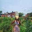 Fells Point Community Garden