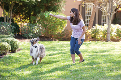 Fence Contractor «A+ Underground Pet Fencing, Inc. Illinois Dog Fence Dealer & Store», reviews and photos, 1041 White Plains Ln, Yorkville, IL 60560, USA