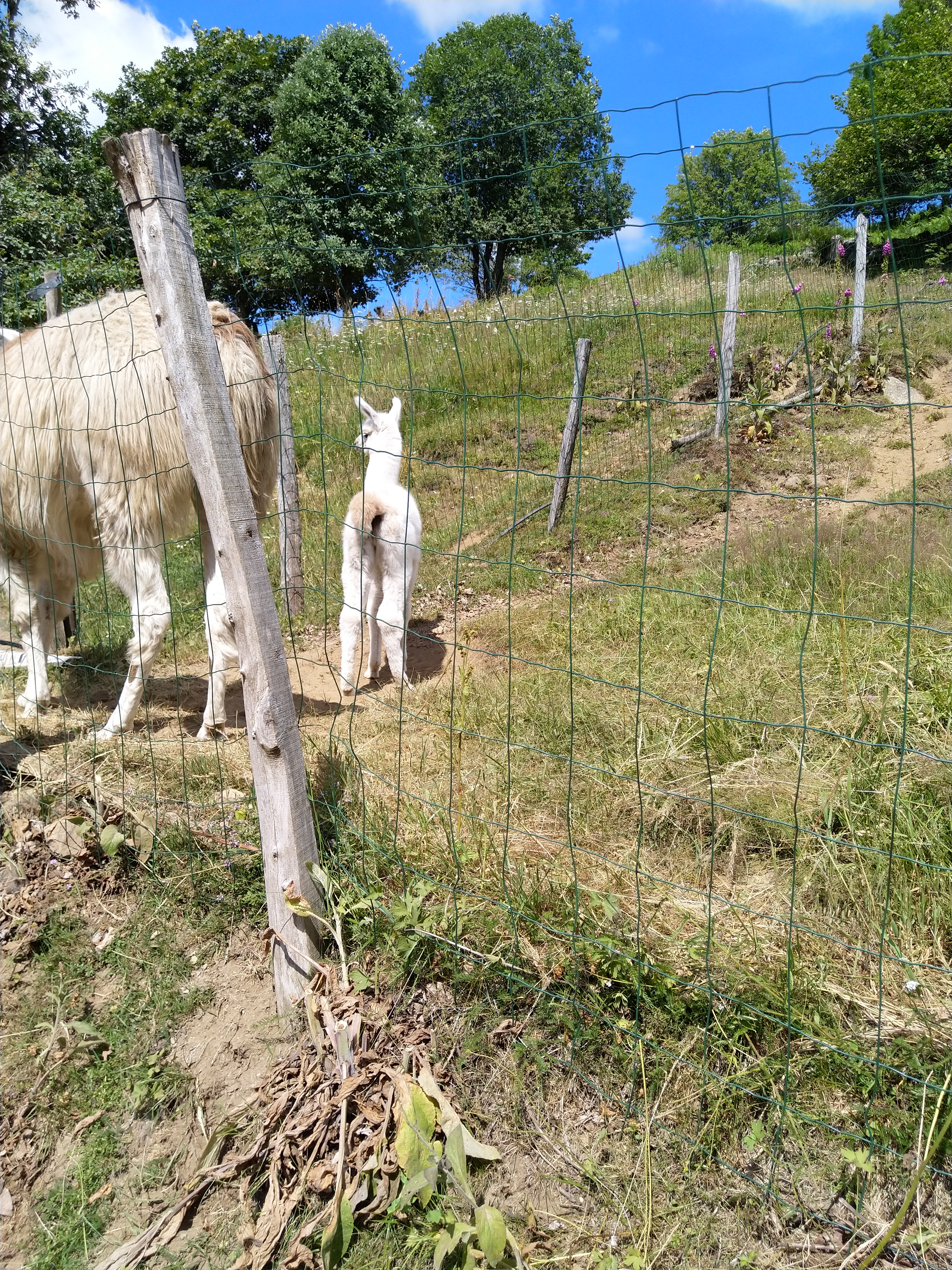 Photo n° 2 de l'avis de Booike.e fait le 11/07/2019 à 20:57