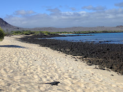 Foto von Cerro Dragon Beach mit geräumige küstenlinie