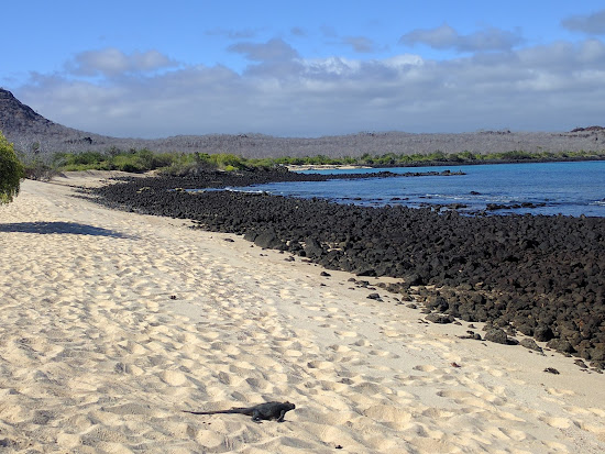 Cerro Dragon Beach