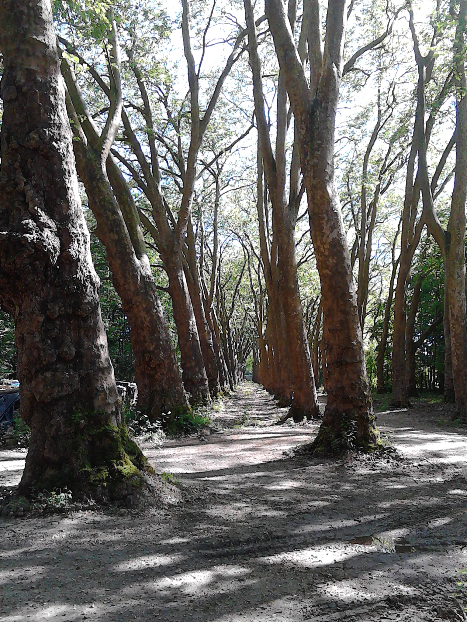 Photo n° 5 de l'avis de régis.r fait le 07/09/2017 à 15:56