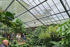 Butterfly House