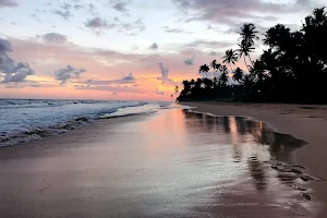 Habaraduwa Beach හබරාදුව වෙරළ තීරය image