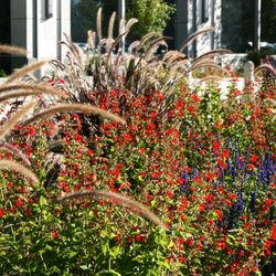 Landscaper «Elite Grounds L.C.», reviews and photos, 800 S Main St, Pleasant Grove, UT 84062, USA