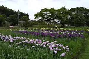 Tagajo Castle Site Ayame Garden image