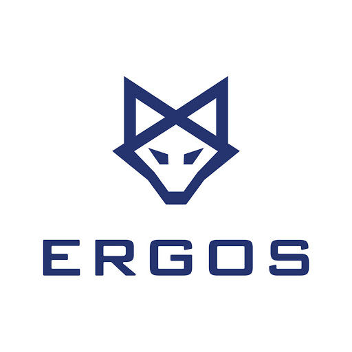 Ergos Technology Partners, Inc.