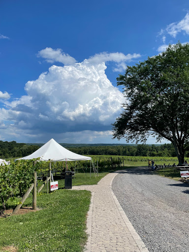 Winery «Old York Cellars», reviews and photos, 80 Old York Rd, Ringoes, NJ 08551, USA