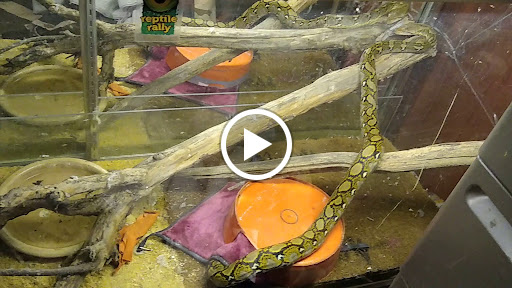 Pet Store «Fin & Feather Pet Center, Inc.», reviews and photos, 5208 Lakeside Ave, Richmond, VA 23228, USA