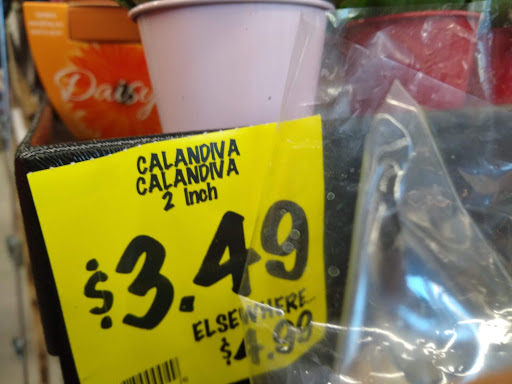 Grocery Store «Grocery Outlet bargain market», reviews and photos, 1130 Los Osos Valley Rd, Los Osos, CA 93402, USA