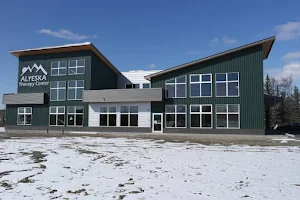 Alyeska Therapy Center, Inc. image