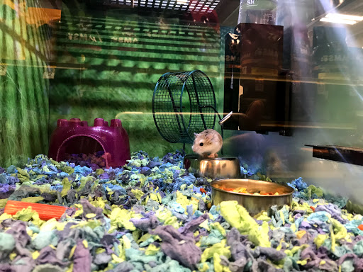 Pet Supply Store «PetSmart», reviews and photos, 17651 Colima Rd, City of Industry, CA 91748, USA