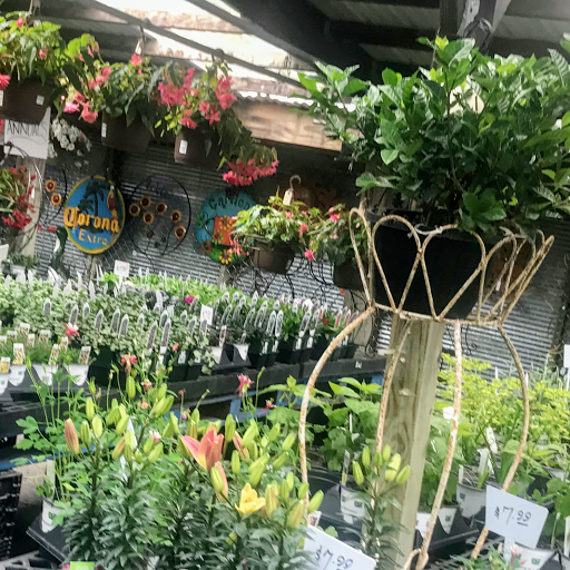 Florist «Sunshine Flowers», reviews and photos, 4509 Rainbow Blvd, Kansas City, KS 66103, USA