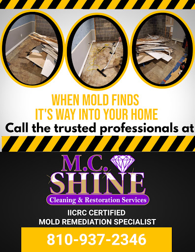 Carpet Cleaning Service «Mc Shine Cleaning Services LLC», reviews and photos, 3763 Lapeer Rd c, Port Huron, MI 48060, USA