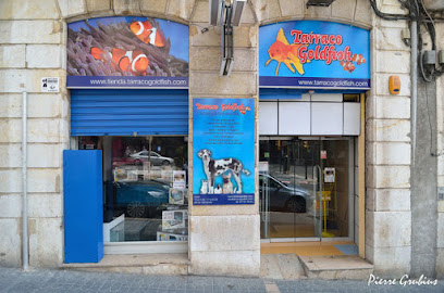 Tarraco Goldfish - Servicios para mascota en Tarragona
