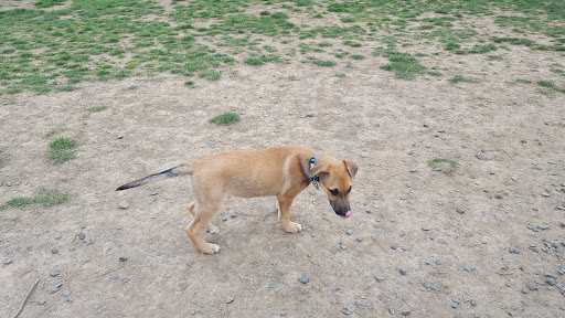 Dog Park «Dog Park», reviews and photos, 9068-9156 Wheatsheaf Rd, Morrisville, PA 19067, USA