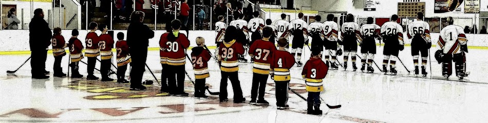 Sparta Youth Hockey Association