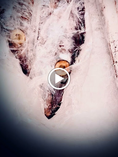 Asian Grocery Store «Valley Supermarket», reviews and photos, 1251 E Valley Blvd, Alhambra, CA 91801, USA