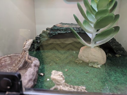 Pet Supply Store «Pet Supplies Plus», reviews and photos, 1240 Seminole Trail, Charlottesville, VA 22901, USA