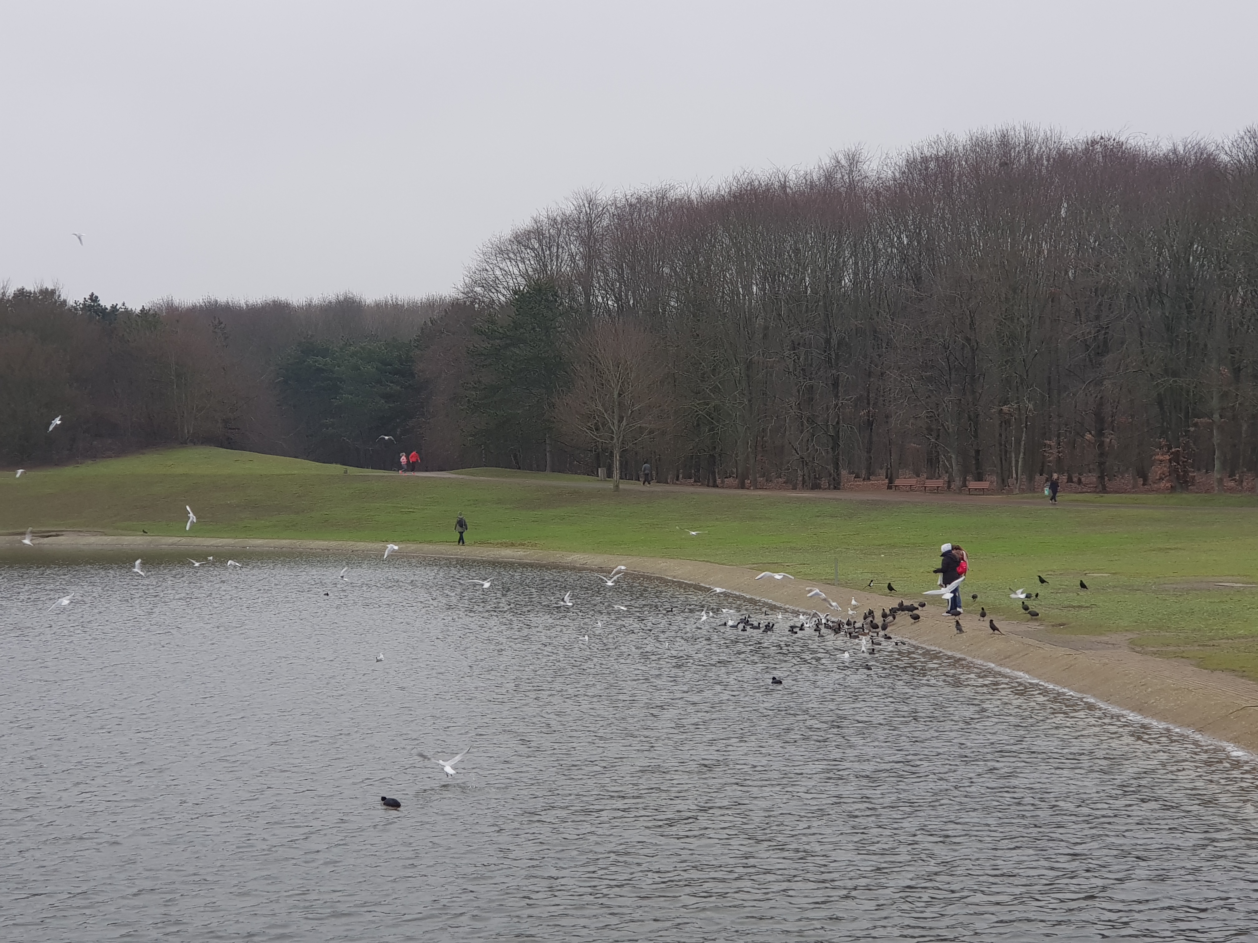 Photo n° 8 de l'avis de MICHELSON. fait le 20/01/2019 à 13:37