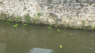 Photo n°52 de Le Clos de Chevreuse à Chevreuse ()