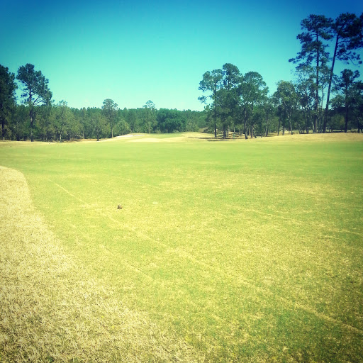 Golf Course «Deercreek Country Club», reviews and photos, 7816 Mc Laurin Rd N, Jacksonville, FL 32256, USA