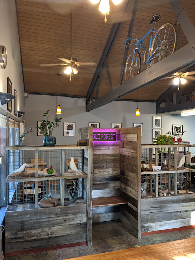 Coffee Shop «Cloud Forest Cafe», reviews and photos, 222 D St, Davis, CA 95616, USA