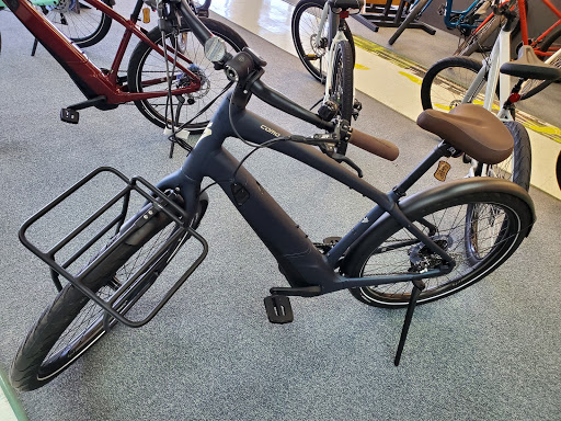 Bicycle Store «Chainwheel Drive», reviews and photos, 32796 US Hwy 19 N, Palm Harbor, FL 34684, USA