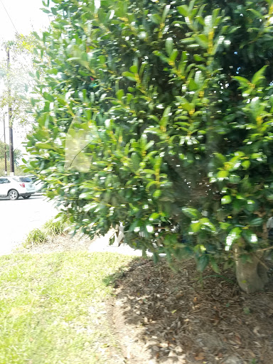 Craft Store «Michaels», reviews and photos, 30 Malphrus Rd #107, Bluffton, SC 29910, USA