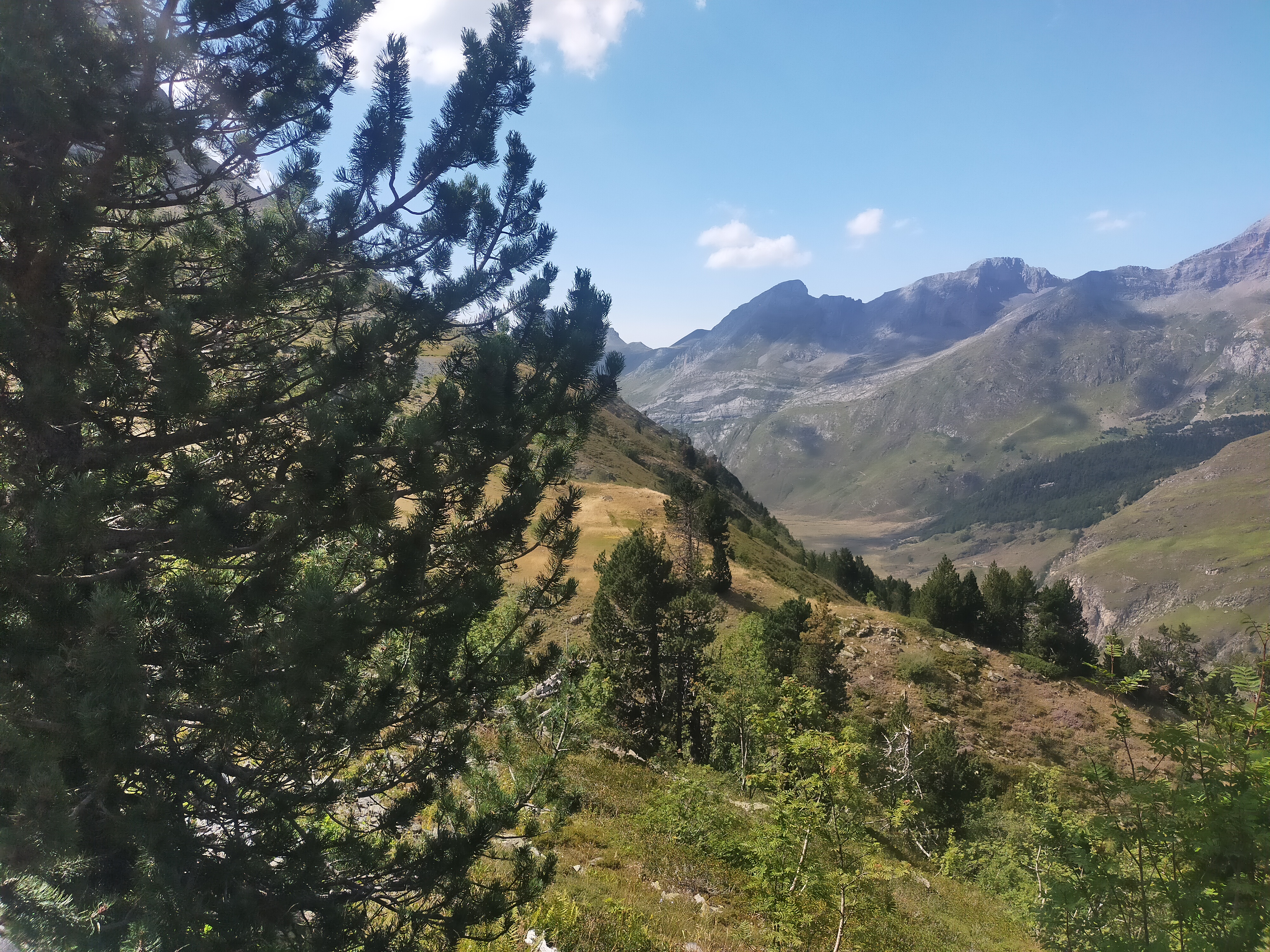 Photo n° 4 de l'avis de Laurence.O fait le 16/08/2023 à 16:22