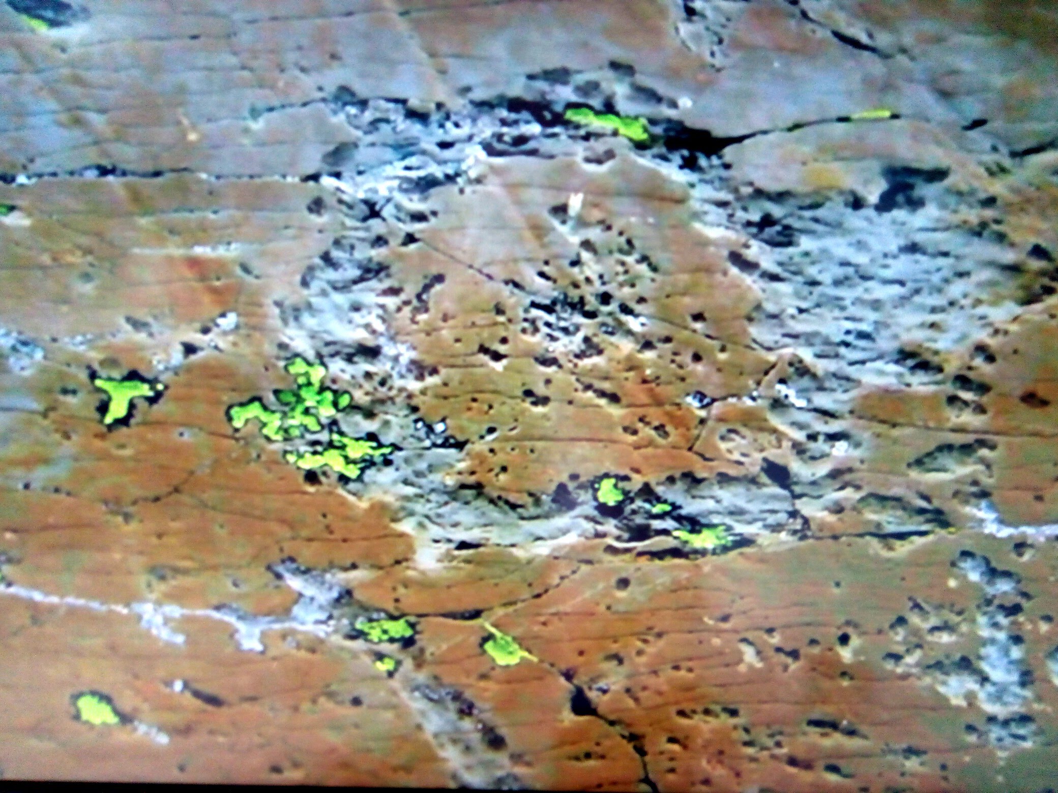 Photo n° 7 de l'avis de Jo.c fait le 17/09/2020 à 02:26