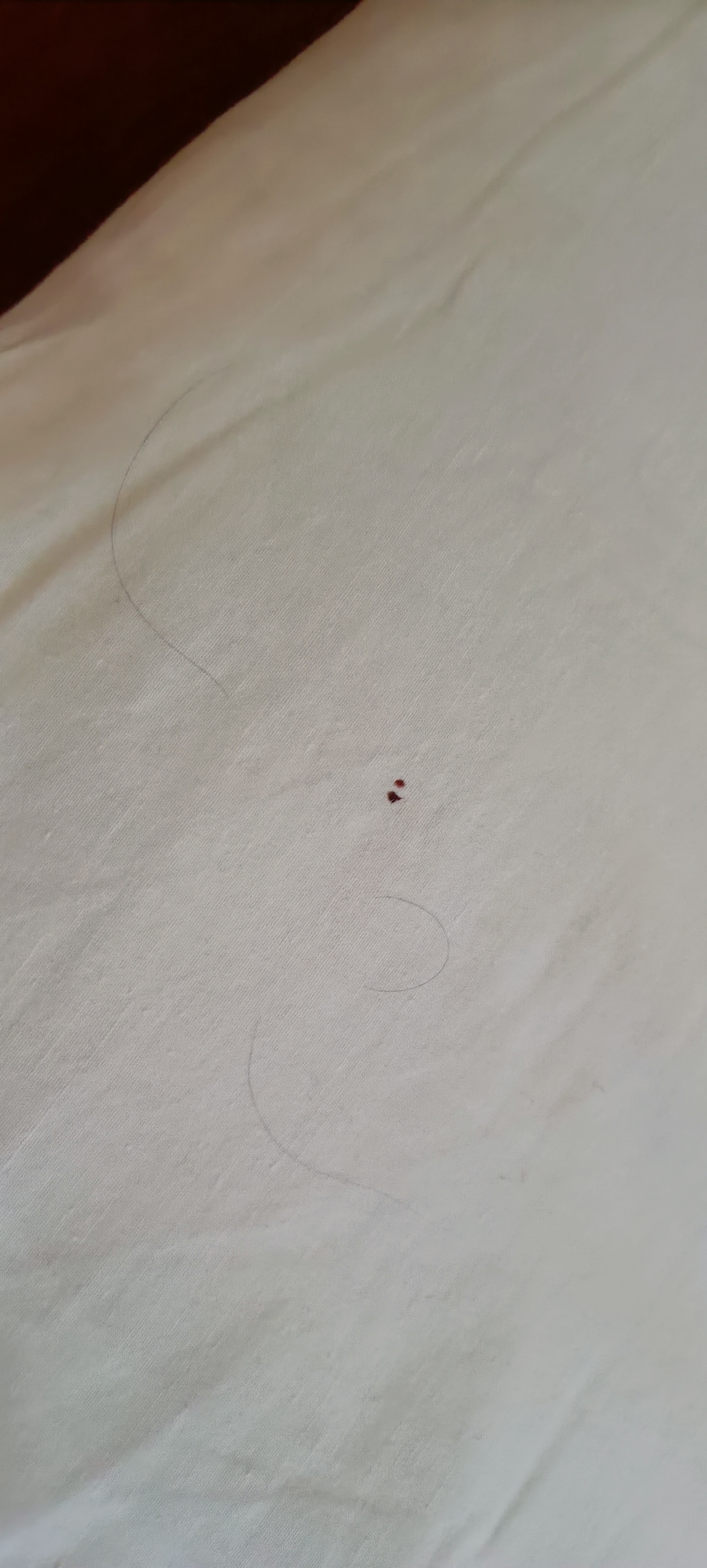 Photo n° 5 de l'avis de Nihil.i fait le 18/08/2022 à 15:47
