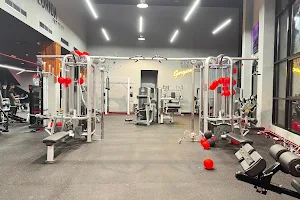 Florida BodyBuilding Gym Al Nahda | Gents and Ladies | Best gym in Al Nahda image