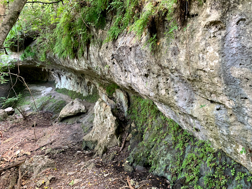 Nature Preserve «Stillhouse Hollow Nature Preserve», reviews and photos, 7810 Sterling Dr, Austin, TX 78759, USA
