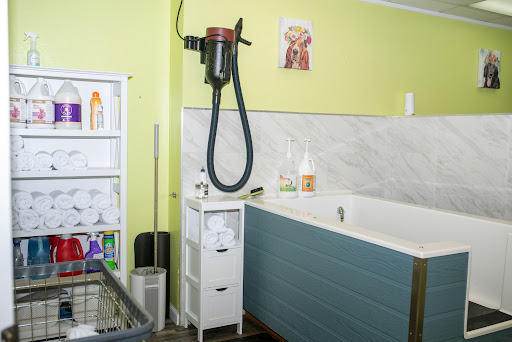 Pet Supply Store «Earth Pets Natural Pet Market», reviews and photos, 500 NW 60th St # F, Gainesville, FL 32607, USA