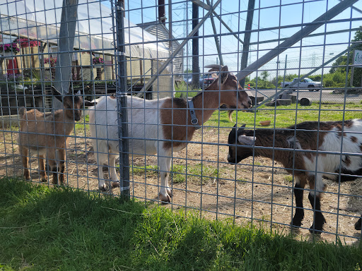 Farm «Fairmount Fruit Farm», reviews and photos, 887 Lincoln Street, Franklin, MA 02038, USA